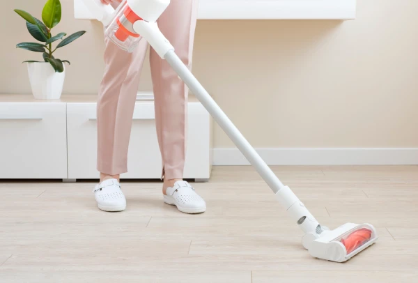 Jednorázové úklidy